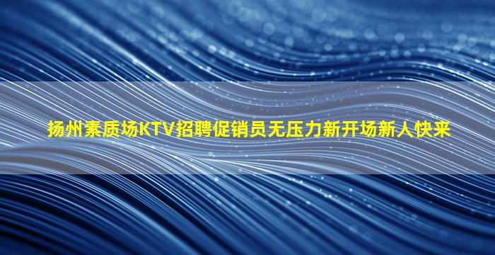 扬州素质场KTV招聘促销员无压力新开场新人快来